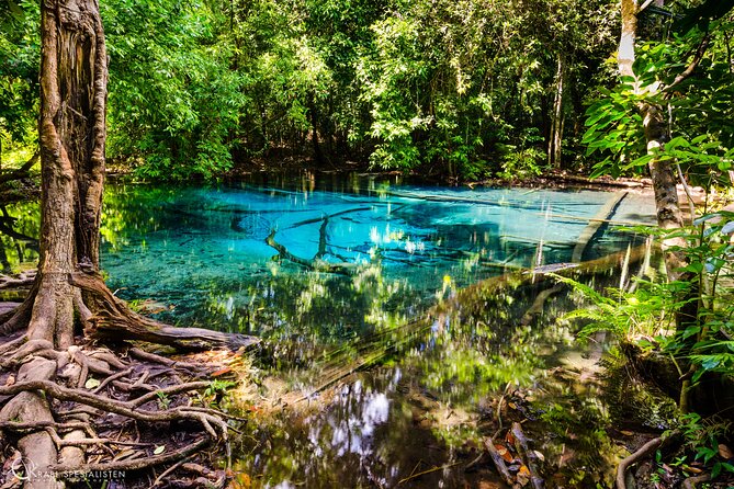 ECO Premium Jungle Hot Springs and Temple Tour - What’s Included vs. What You Need to Bring
