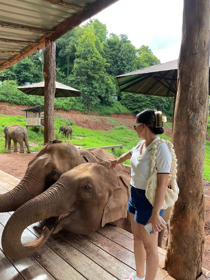 Elefin Farm & Cafe Half-day tour with Private Car - Private Car Logistics That Actually Feel Private