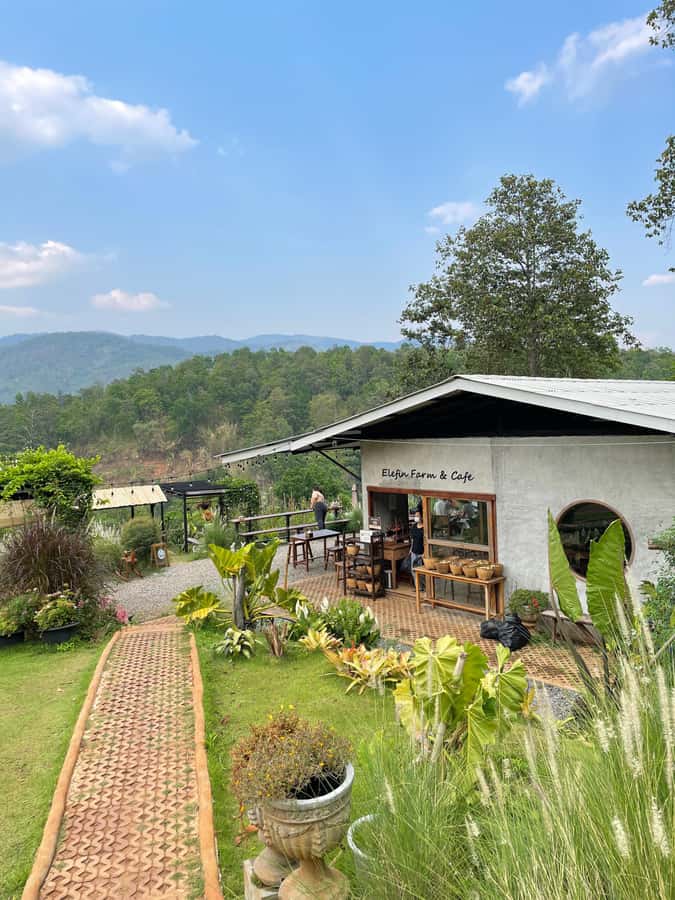 Elefin Farm & Cafe Half-day tour with Private Car - The Drive Time: Why the Schedule Feels Tight (and Why That’s Good)