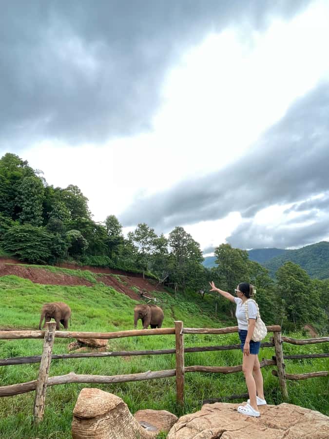 Elefin Farm & Cafe Half-day tour with Private Car - Who This Tour Fits Best (and Who Should Skip It)