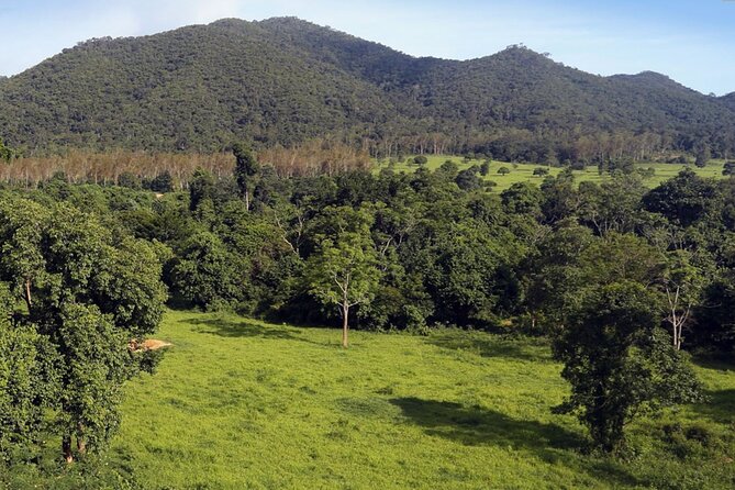 Elephant and Animal Watching in Kuiburi National Park - Join Afternoon Tour - Stop 2 near Hua Hin: a Thai dinner break that ends the day well