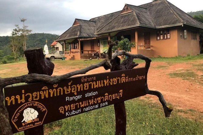 Elephant and Wildlife Watching in Kuiburi National Park - Private Afternoon Tour - Birdlife and forest moments: when the day turns into more than an elephant hunt