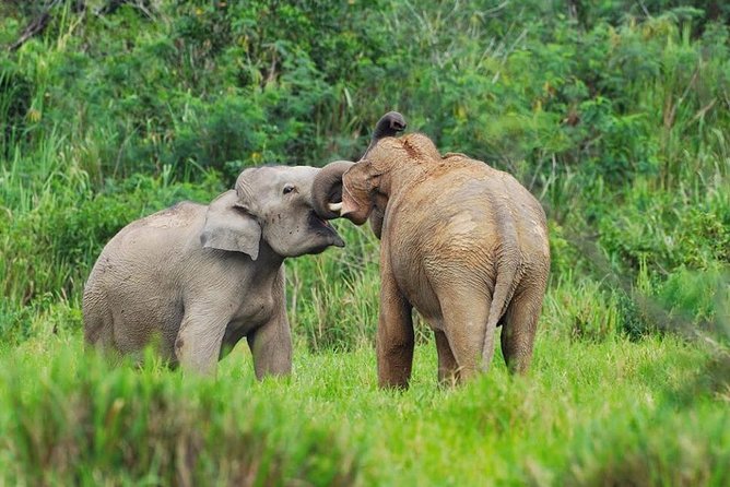 Elephant and Wildlife Watching in Kuiburi National Park - Private Afternoon Tour - Visitor Center stop: a short warm-up before the real searching