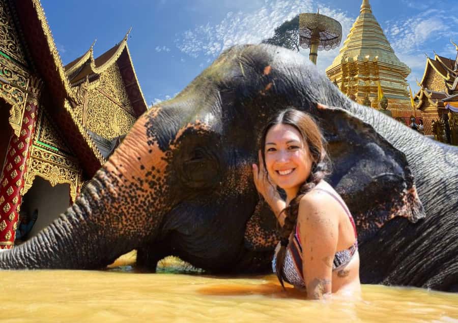 Elephant care with Wat Umong, Doi Suthep and Night City view - Mud, Sand Spa, and Bathing: The Part You’ll Remember