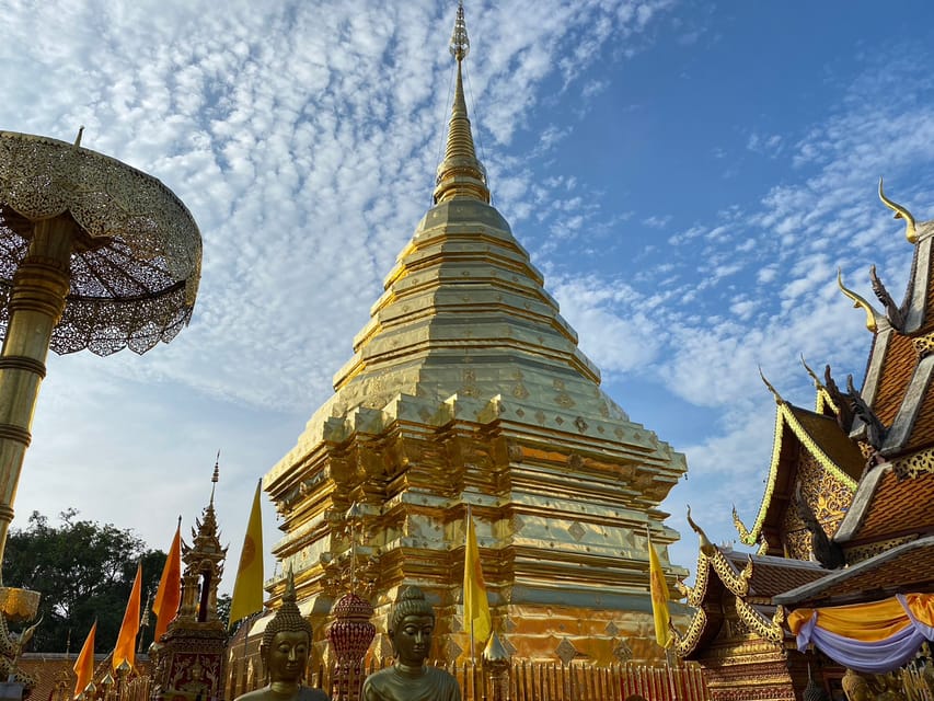 Elephant care with Wat Umong, Doi Suthep and Night City view - Price and What You Actually Get for $122