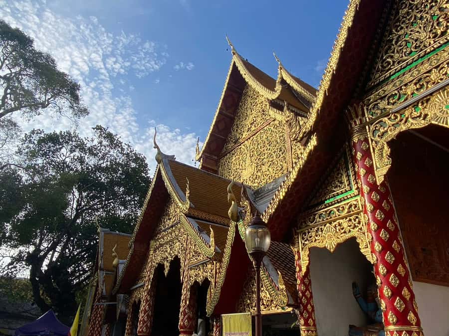 Elephant care with Wat Umong, Doi Suthep and Night City view - Practical Tips: What to Pack and Wear