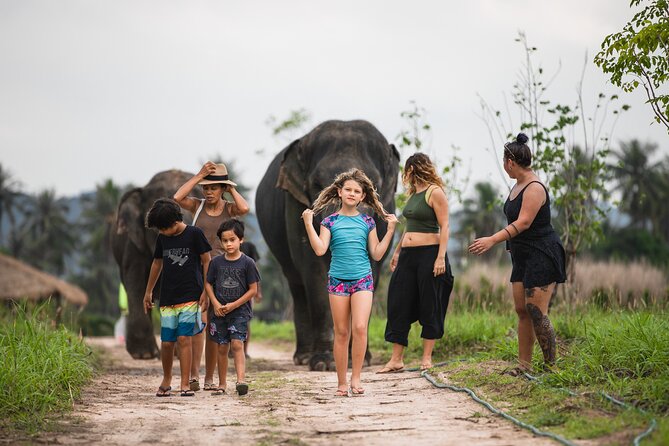 Elephant Jungle Sanctuary: Half Day Afternoon Program - Your elephant encounter: feeding, vitamin mix, and muddy fun