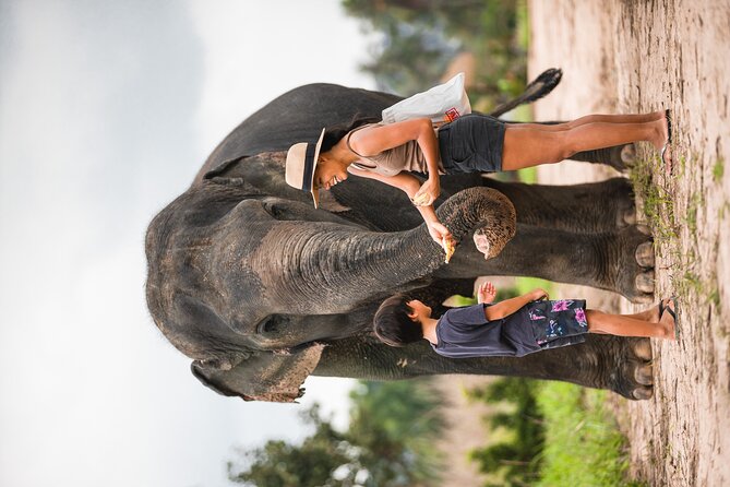 Elephant Jungle Sanctuary: Half Day Afternoon Program - Price and time value for a 3-hour afternoon in Pattaya