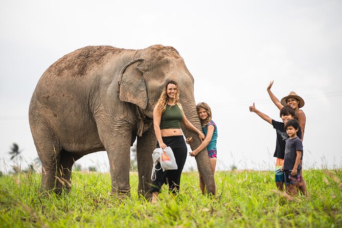 Elephant Jungle Sanctuary: Half Day Morning Program - Lunch at the camp: Thai food, earlier than you might expect