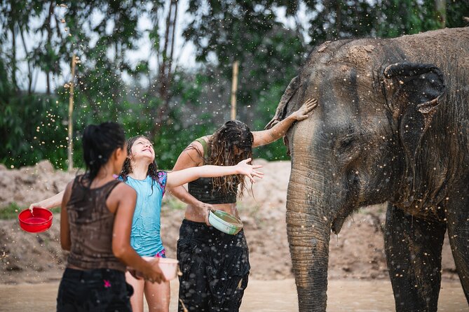 Elephant Jungle Sanctuary: Half Day Morning Program - Should you book Elephant Jungle Sanctuary Pattaya Half Day Morning?