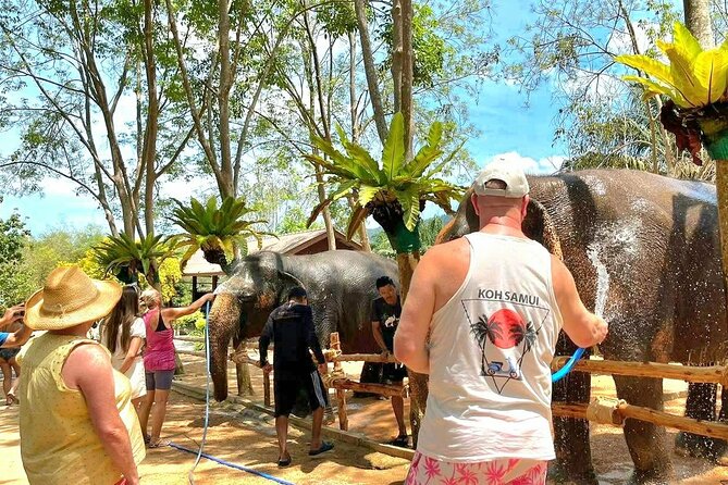 Elephant Nature Care, the largest elephant sanctuary on Koh Samui - The bath and spraying segment: letting them cool off