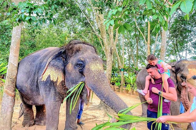 Elephant Nature Care, the largest elephant sanctuary on Koh Samui - Vegetarian lunch and refreshments: simple, practical, and included