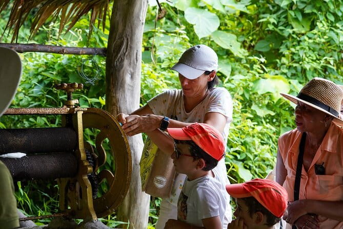 Elephant Nature Experience with Lunch at Bukit Elephant Park - Bukit Elephant Park keeps elephants moving and visitors quiet