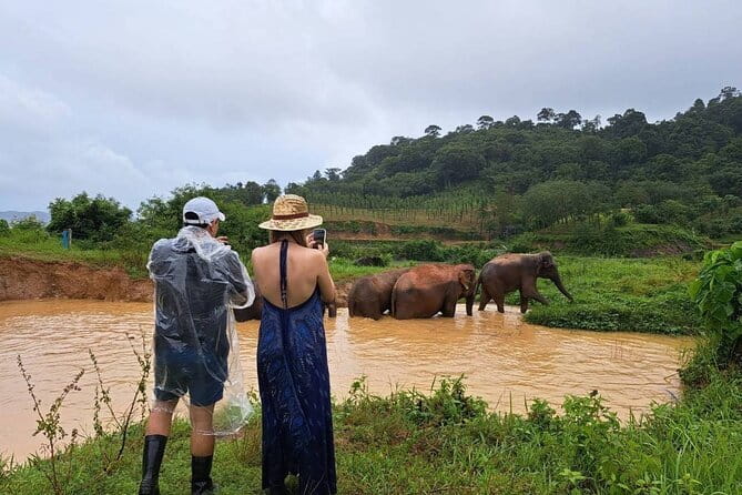 Elephant Nature Experience with Lunch at Bukit Elephant Park - Your half-day timing: 09:00–12:30 or 14:00–17:00