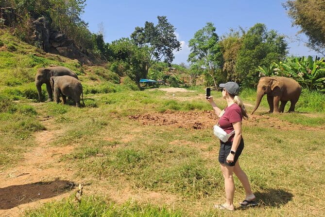 Elephant Sanctuary, Wat Ban Den & Sticky Waterfall - Guides Matter: Limmy and Pie’s Role in Your Day