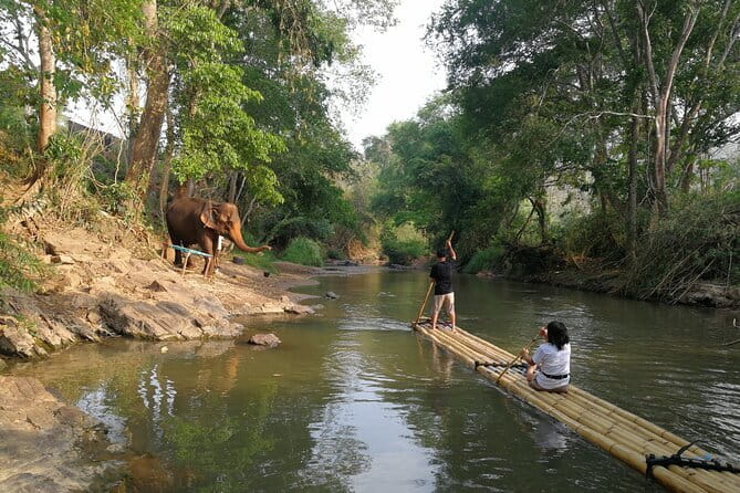 Elephant Sanctuary + Waterfall + Bamboo Rafting One Day Trip - Key things to know before you go