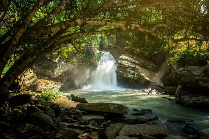 Elephant Sanctuary + Waterfall + Bamboo Rafting One Day Trip - Sanctuary time with elephants: what “ethical” should mean for you