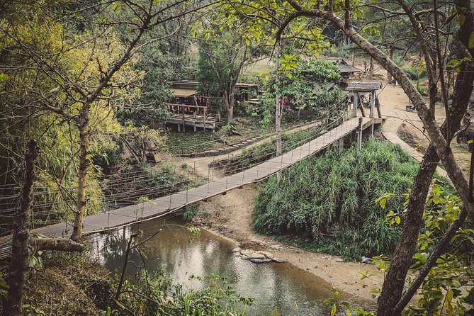 Elephant Sightings , Bamboo Rafting Through The Jungle, Swimming In a Waterfall - Mae Wang Waterfall Swim: Natural Massage and Jungle Cool-Down