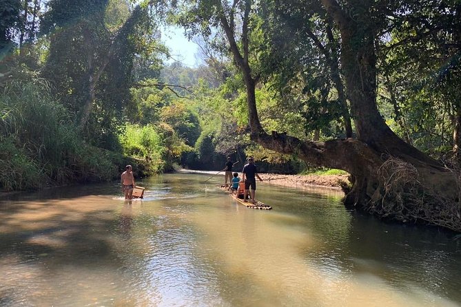 Elephant Sightings , Bamboo Rafting Through The Jungle, Swimming In a Waterfall - Price and Value: Is $97.50 Worth It?