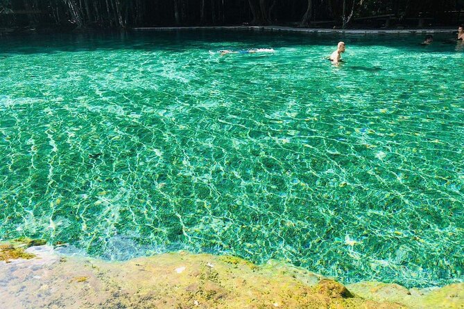 Emerald Pool: Jungle Tour, Private Full Day with Lunch - Private Guide and Smooth Transport: The Difference You Actually Feel