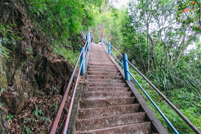 Emerald Pool: Jungle Tour, Private Full Day with Lunch - Small Tips That Make the Day Easier