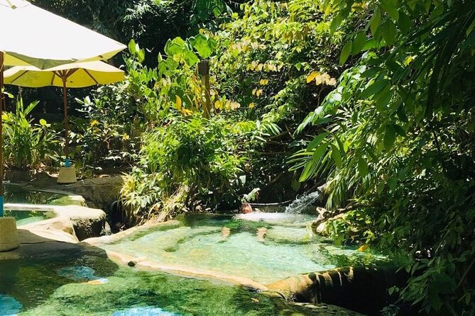 Emerald Pool: Jungle Tour, Private Full Day with Lunch - Who This Tour Suits Best