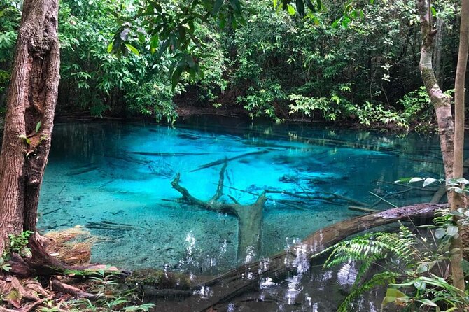Emerald Pool: Jungle Tour, Private Full Day with Lunch - Wareerak Hot Spring & Wellness: Warm Mineral Water Reset