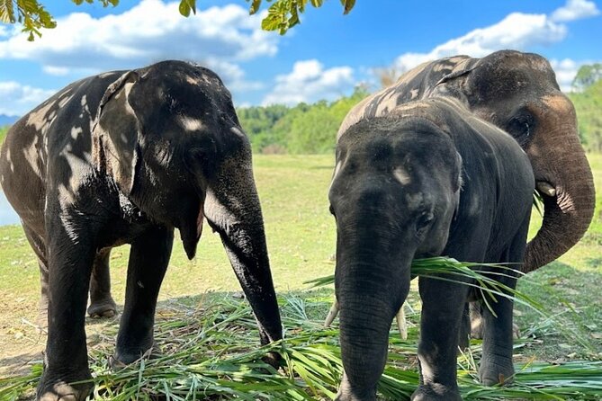 Erawan Waterfall and Elephant care from Bangkok -Private Tour - Key highlights at a glance