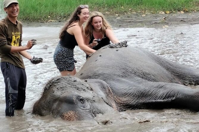 Erawan Waterfall and Elephant care from Bangkok -Private Tour - Erawan Waterfall: seven levels, emerald pools, and swimming time