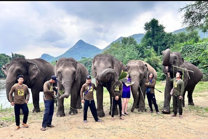 Erawan Waterfall and Elephant care from Bangkok -Private Tour - Private tour value: what you’re paying for (and what to watch)