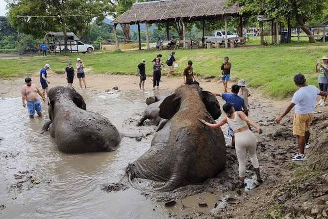 Erawan Waterfall and Elephant care from Bangkok -Private Tour - Timing and pacing: how to make this day feel good