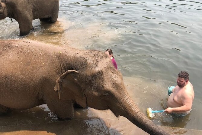 Erawan Waterfall and Elephant care from Bangkok -Private Tour - Should you book this Erawan and Elephant care day trip?