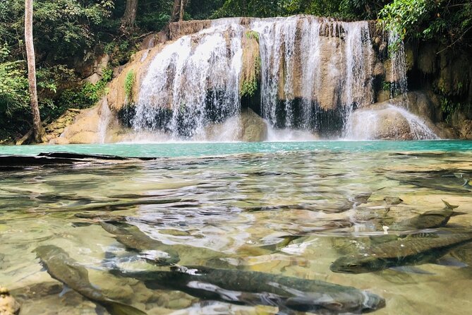 Erawan Waterfall and River Kwai Bridge Day Tour from Bangkok - The 7:00 am pickup: why this feels like a road trip day