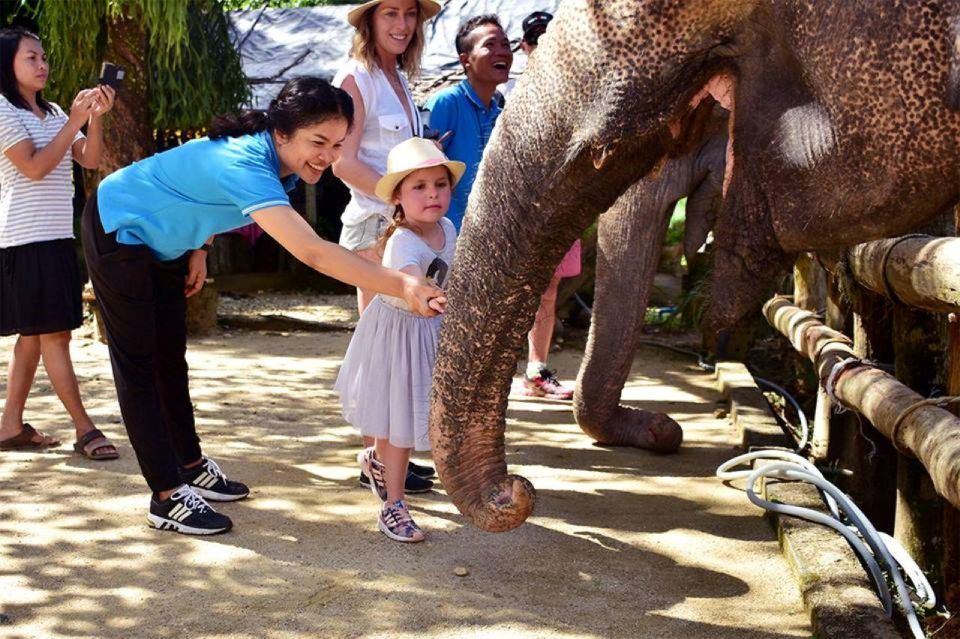 Ethical Elephant Sanctuary Experience in Khao Lak - Price and Value: Does $56 Make Sense Here?
