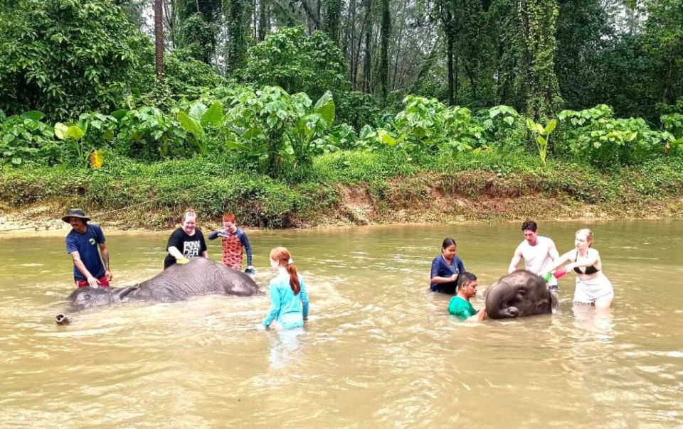 Ethical Elephant Sanctuary Experience in Khao Lak - Khao Lak Elephant Sanctuary: A Realistic Alternative to the Usual Elephant Tours