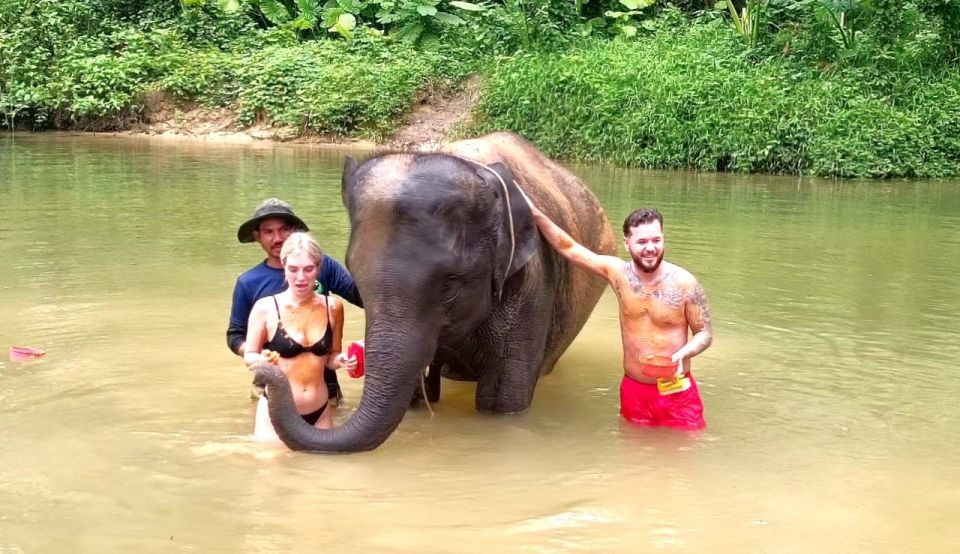 Ethical Elephant Sanctuary Experience in Khao Lak - Arrival Briefing: Elephant History and Welfare in Plain Language