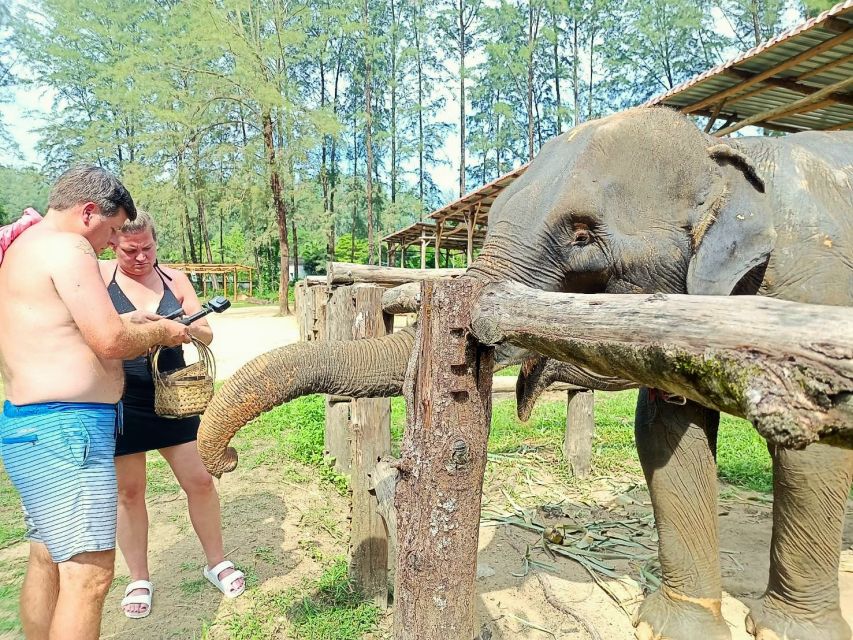 Ethical Elephant Sanctuary Experience in Khao Lak - Herbal Health Supplement Activity: Culture and Care Hand-in-Hand