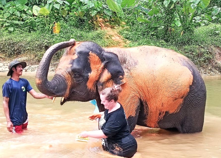 Ethical Elephant Sanctuary Experience in Khao Lak - Getting There From Khao Lak: Time, Comfort, and the Pace of the Day