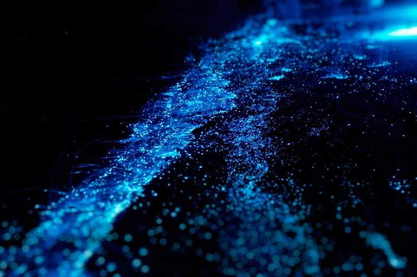 Evening James Bond Island&Plankton Tour by Private longtail. - Koh Hong at night: the bioluminescent plankton glow you came for