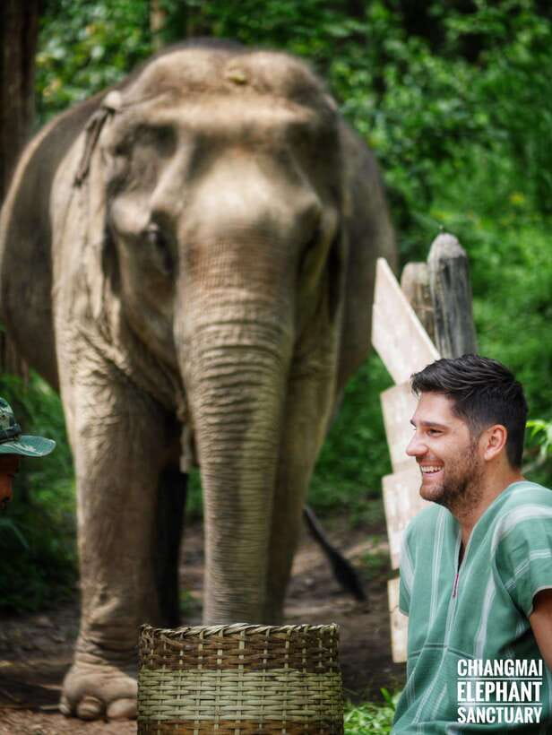 Exclusive experience half day with family giant animals - Hotel pickup and that early mountain drive from Chiang Mai