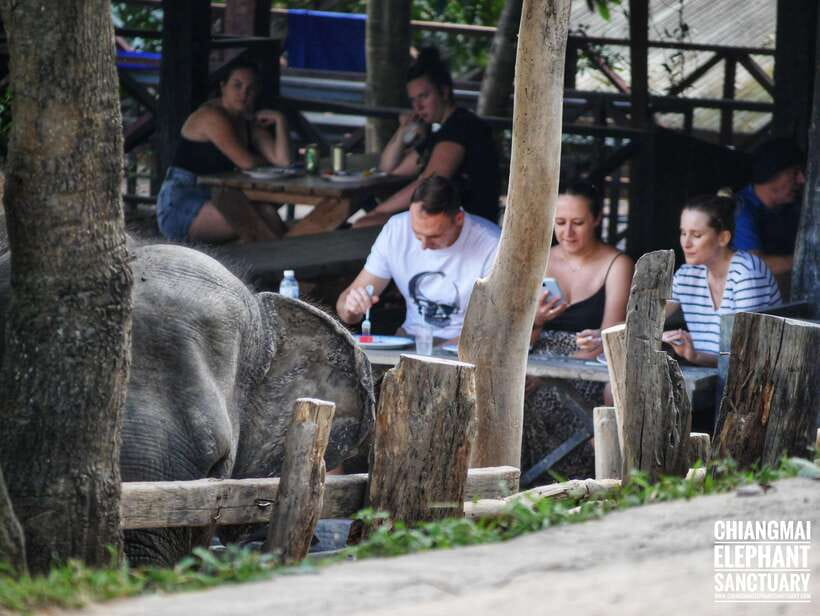 Exclusive experience half day with family giant animals - Price and value: is $48 fair for what you get?