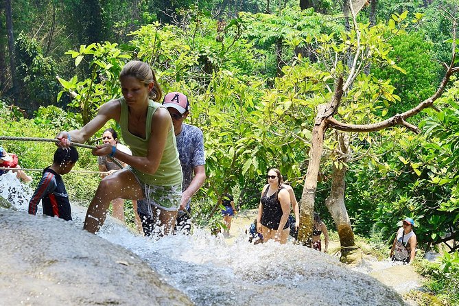 Experience Elephant Sanctuary + Sticky Waterfall - How Lunch Fits In (and Why It Helps Your Day Stay Easy)