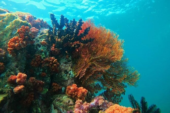 Experience the Koh Lipe Backyard including 5 Mysterious Islands - Who this is best for (and who should reconsider)