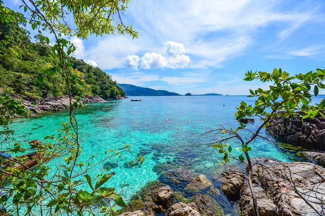 Experience the Koh Lipe Frontier in the Eastern Adang Archipelago - Koh Buloh coral garden snorkeling: when the fish are easy to notice