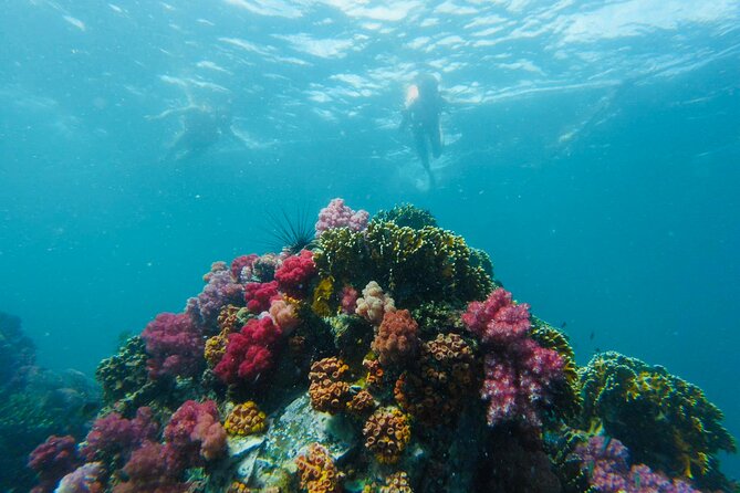 Experience the Koh Lipe Frontier in the Eastern Adang Archipelago - Monkey Beach picnic lunch: the best midday break