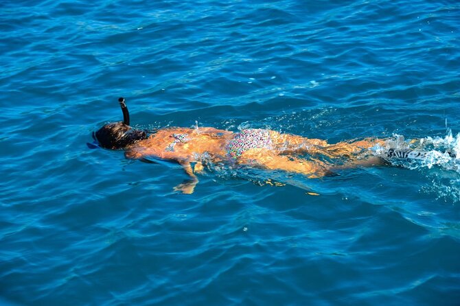 Explore Angthong National Marine Park's Hidden Gems by Speedboat - Koh Phaluay lunch and beach time on your schedule