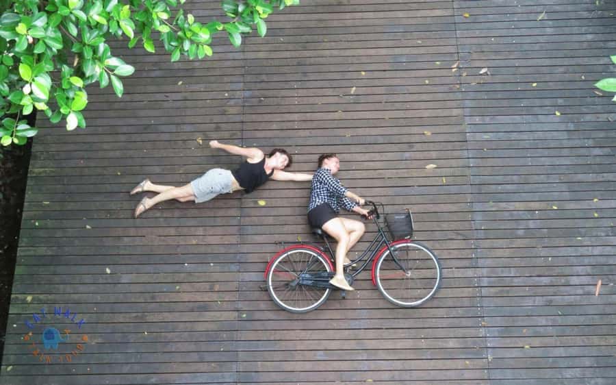 Explore Bangkok jungle by bike, kayak & boat - small group - Kayak in the canal: palm jungle plus port views