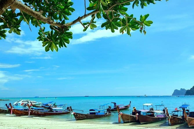 Explore Phi Phi Islands by Ferry – Snorkeling & Lunch Included - Price and Value: What You’re Paying For (and What to Budget Extra)