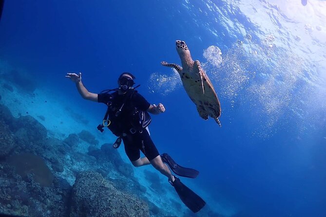 Explore Scuba Diving at Racha Yai Island from Phuket - Why Racha Yai Island Is a Great Match for First-Time Scuba Students