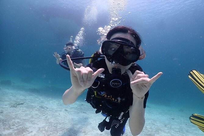 Explore Scuba Diving at Racha Yai Island from Phuket - What You’ll Notice Underwater: Reefs, Fish, and That First-Glance Wow